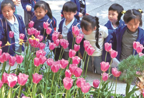 南通一周穿越春夏秋冬