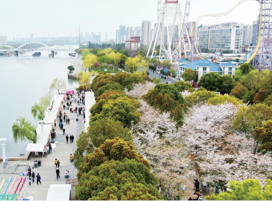 良辰美景櫻花市集啟幕  這場(chǎng)春日之約將持續(xù)至4月上旬